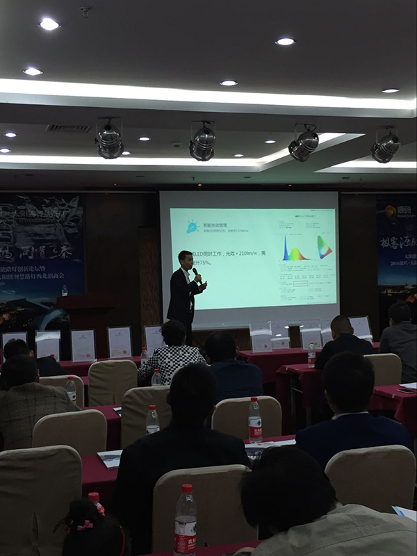 太陽能路燈，太陽能路燈廠家，太陽能路燈價格