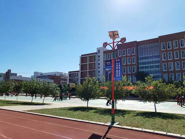 太陽能路燈，太陽能路燈廠家，太陽能路燈價格