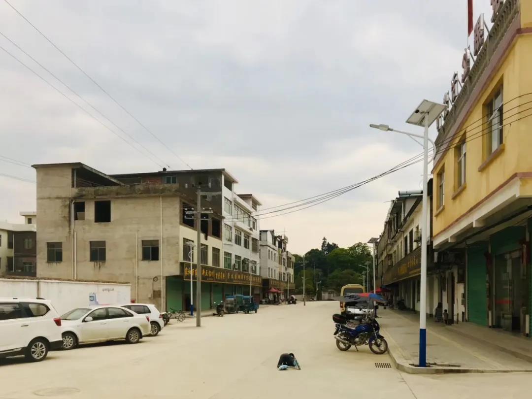 中央一號文件發布：2020年農村基建將加大投入力度